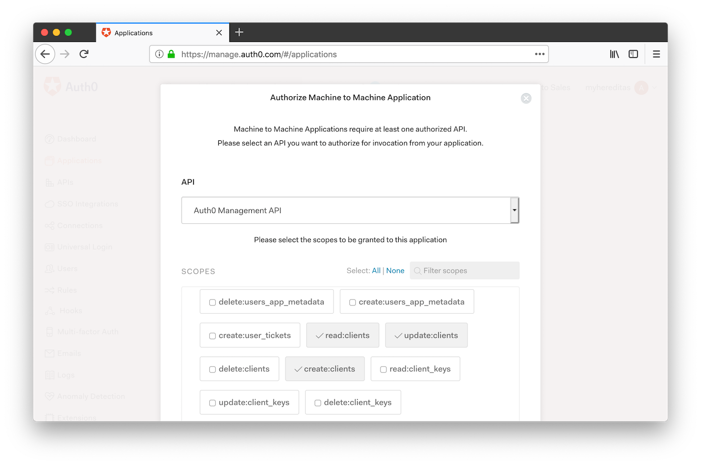 Auth0 management portal: enable Auth0 Management APIs